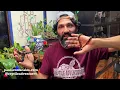 Bismarck Ringed Python Rare Beautiful - Episode 37
