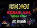 Download Lagu Karaoke Sebab Apa Nada Pria - Elvy Sukaesih (Karaoke Dangdut Tanpa Vocal)