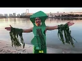 【おもしろ荘2026】DOG FOOD PARTY - コンブレックス【Official Music Video】