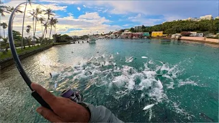 🔥 De Water Exploded... Hundreds Of Fish, Right At My Feet
