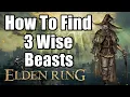 Elden Ring Sorcerer s Isle - Testu s Rise Tower Guide