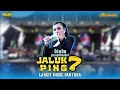 JALUK PING 7 - DINDA PUSPITASARI - LANGIT MUSIC PANTURA - KARANG SAMBUNG - ANJATAN BARU INDRAMAYU