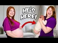 Download Lagu My Entire Pregnancy Journey!🤰