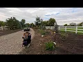 Download Lagu Windy Planting Day: Snowfire Aronia, Haywire Cypress \u0026 a Few Bulbs! 💨🌿🌲 // Garden Answer