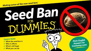 SEEDS BANNED EVERYTHING YOU NEED TO KNOW