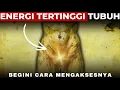 Lagu ALKIMIA SEKSUAL: Energi Terkuat untuk Menarik Apa pun yang Anda Inginkan