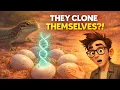 Why Some Lizards Clone Themselves
