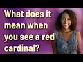 What does it mean when you see a red cardinal