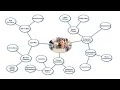 Narrowing Your Research Topic