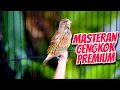 Download Lagu BLACKTHROAT GACOR SUARA JERNIH UNTUK MASTERAN KENARI PREMIUM