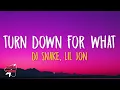 Download Lagu DJ Snake, Lil Jon - Turn Down for What (Lyrics)