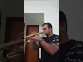 Luiz Alves | Coisa N°10 (improviso)