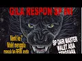 Download Lagu PANTAS ORANG BERANI BAYAR MAHAL UNTUK SP INI