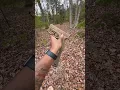 Download Lagu Glock 19x with Kriss Vector Mag 🔥or🗑️?   #glock #glock19x #krissvector #like #comment #subscribe