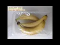 Fruit classification using Deep Learning