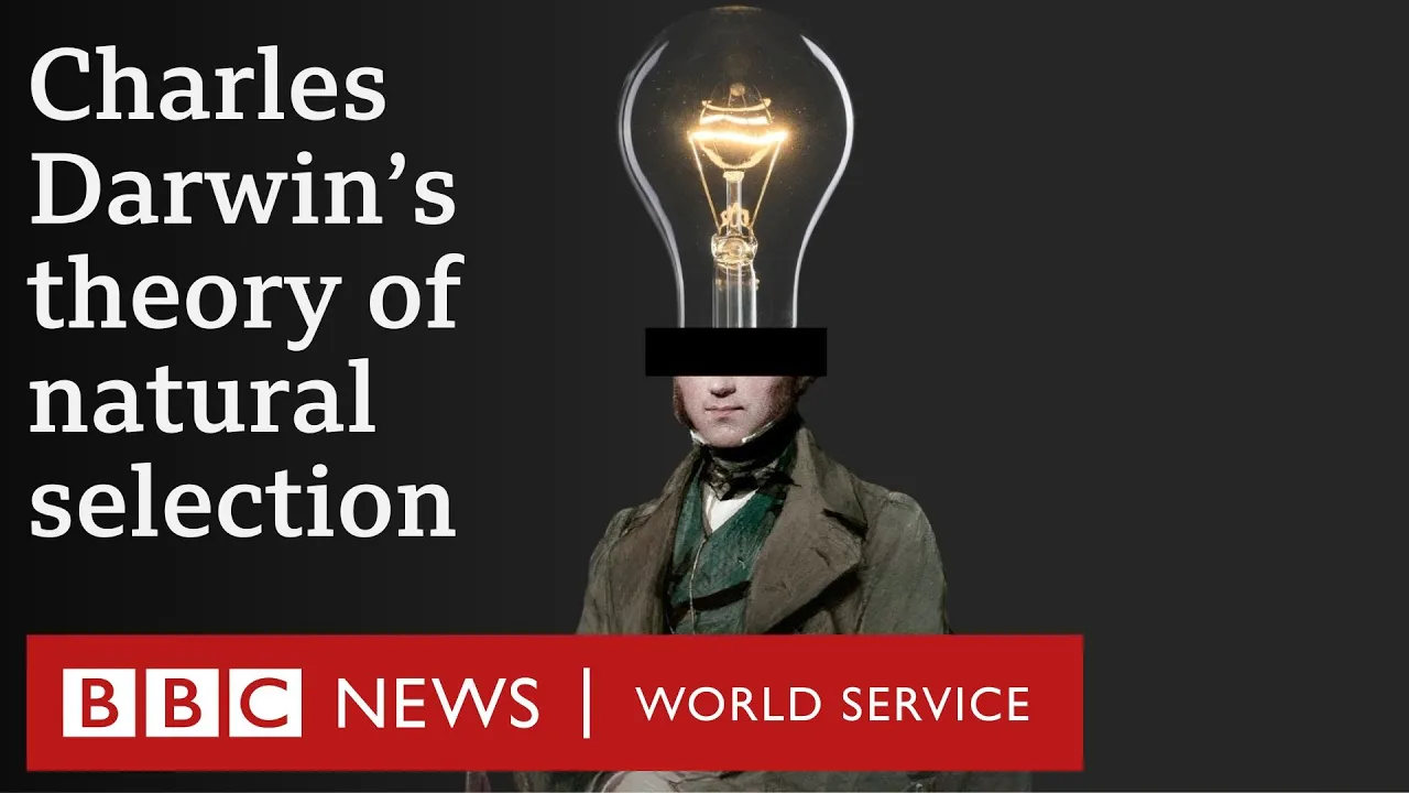 What is Charles Darwin’s theory of evolution? - BBC World Service What is Charles Darwin’s theory of evolution? - BBC World Service