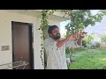 Download Lagu Bigg Boss Telugu 9 Saturday Promo 1 Review By Adi Reddy | Sanjana Vs Bharani | Entertaining 