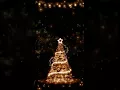 Samsung Theme-Live Wallpaper Glowing christmas tree