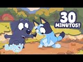 Download Lagu 30 MINUTOS dos Incríveis Jogos da Bluey com os Amigos! 😯 ⭐️ | Bluey Português Brasil Canal Oficial