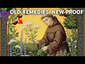 15 Healing Herbs Our Ancestors Swore By That Science Has Backed