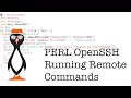 Running Commands Remotely with PERL Net OpenSSH