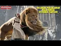 Download Lagu FULL VERSION❗ Seluruh Perjalanan Raja Singa Di Dunia Fantasi | Alur Cerita Film