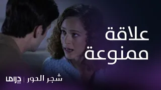 مسلسل شجر الحور الحلقة 6 طلبت منه إنهاء العلاقة بسبب الخلافات العائلية 