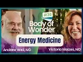 Body of Wonder - Exploring Energy Medicine with Ann Marie Chiasson MD