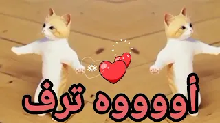  اغنية  ترف الحلوة ترف  اغنية باسم  ترف ترف  السعودية الكويت العراق تركيا قطر الجزائر دبي جده الرياض دندنها