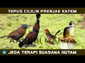 Download Lagu MASTERAN JERNIH BERJEDA TEPUS CILILIN PRENJAK NGETIR KATEM