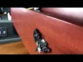 Corprew Funeral Home Live Stream