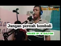 Download Lagu JANGAN PERNAH KEMBALI - Musik Batak