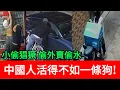 Download Lagu 小偷猖獗 偷外賣偷水，中國人活得不如一條狗！