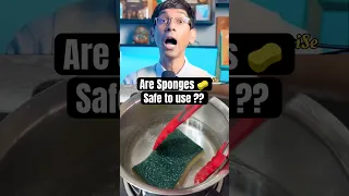 Beware Of Your Kitchen Sponge Shorts 