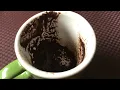 Taurus August 17 2026 Weekly Coffee Cup Reading by Cognitive Universe