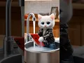 Download Lagu Mom will always love you #cat #story