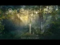 Download Lagu Celtic Music - Lost Stories of Old