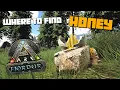 ARK Fjordur Giant Bee Honey BEST Spawn Locations