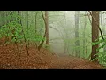 Daniil Shafran - Beethoven - Cello Sonata No 3 in A major, Op 69
