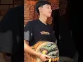 Download Lagu JJ MAS NEMO😎#garudawisnusatriamuda#gwsm#masnemo#tiktok#fypシ