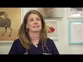 PET VACCINES ARE THEY SAFE