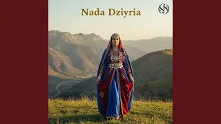 جيبولي خالي               دندنها