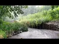 Download Lagu Regengeluiden in het arboretum als verlichting van slapeloosheid MP3