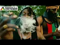 Download Lagu Marlon Asher - Strictly High Grade [Official Video 2024]