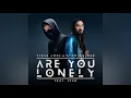 Steve Aoki, Alan Walker feat. ISAK - Are You Lonely (Official Audio)