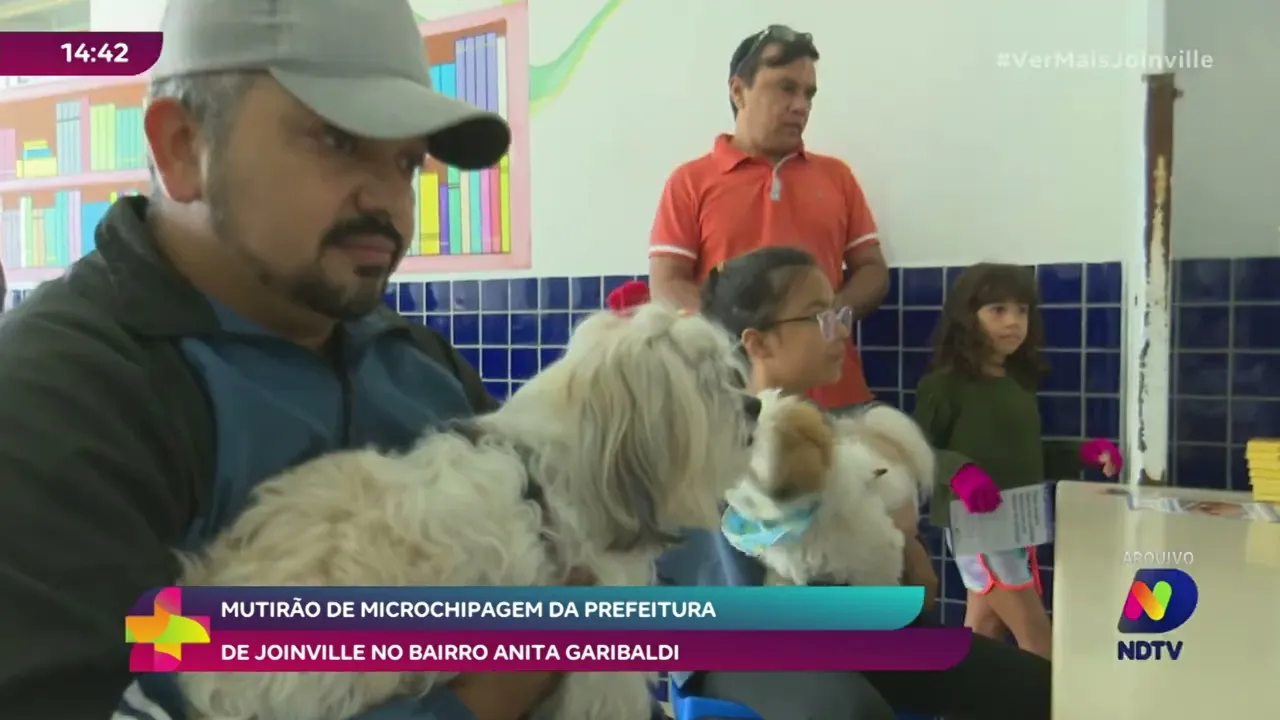 Mutirão de microchipagem: proteção e identificação para pets em Joinville