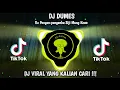 DJ TIKTOK TERBARU 2023 - DJ DUMES RA PENGEN-PENGENKU SIJI MUNG KOWE KENYATAANE DUDU AKU VIRAL FYP !!