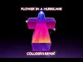 Justice - Flower In A Hurricane (Retouch by COLLOSSVS) [from GTAVI]