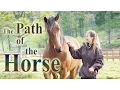 Download Lagu The Path of the Horse - Full Length documentary