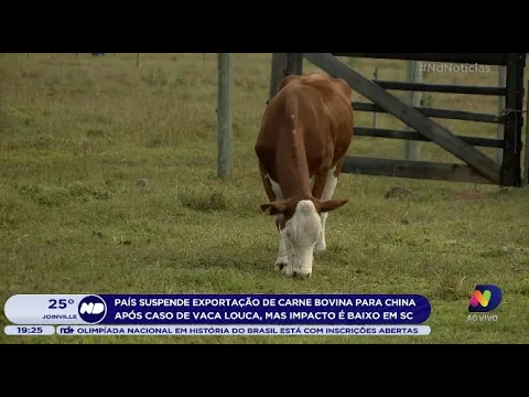 País suspende exportação de carne bovina para China após caso de vaca louca, impacto é baixo em SC